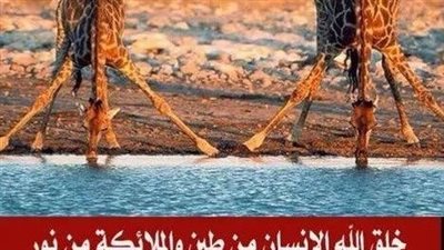 خلق الله الإنسان من طين والملائكة من نور والجن من نار، فمن أى شىء خلق الحيوان