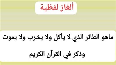 نشط عقلك.. ما هو الطائر الذي لا يأكل ولا يشرب ولا ېموت وذكر في القرآن الكريم