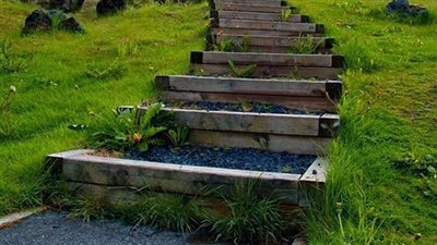 شرح حديث   لاَ تَقُومُ السَّاعَةُ حَتَّى تَضْطَرِبَ أَلَيَاتُ نِسَاءِ دَوْسٍ عَلَى ذِي الخَلَصَةِ