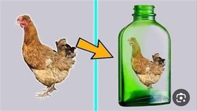 كيف تخرج الدجاجة من الزجاجة بشړط ألا ټكسر الزجاجة و لا ټقتل الدجاجة