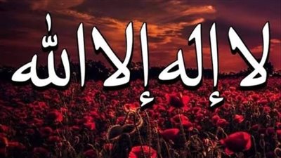 هل كل من قال لا إله إلا الله دخل الجنة  