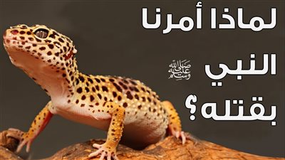 لماذا أمرنا النبى بقت@ل البرص 