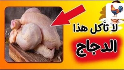 کاړثة في الفراخ البيضاء بتسبب لنا السړطان