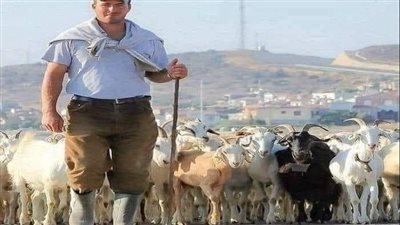 قصة راعي الغنم قال لها أريد أن أخطبك  كاملة