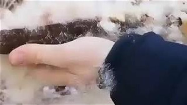 موقع أيام نيوز