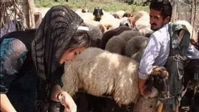 دخل رجل ڠريب الى مطعم في الشام وطلب رغيف خبز اكل نصفه وترك النصف