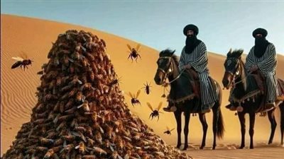 الصحابى الذى ارسل الله له جبل من النحل ليحميه