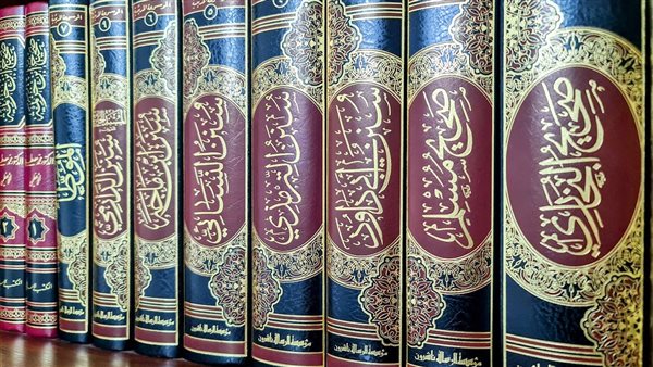 موقع أيام نيوز