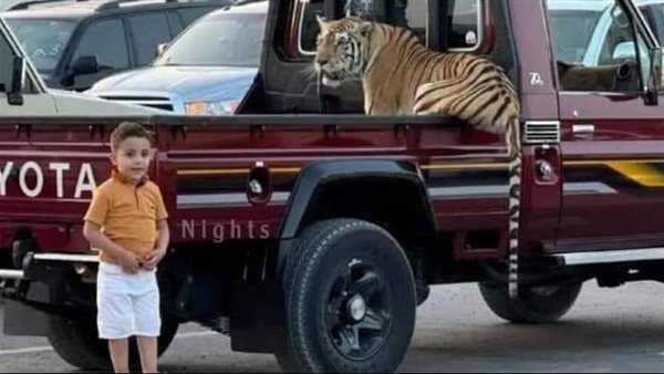 موقع أيام نيوز