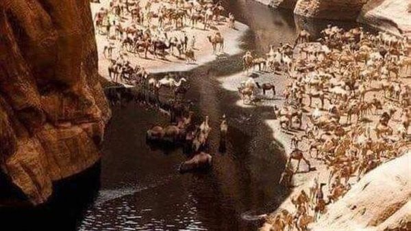 موقع أيام نيوز