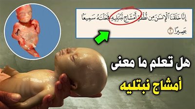 ما المقصود بالأمشاج فى قول الله تعالى : إنا خلقنا الإنسان من نطفة أمشاج فى سورة الانسان