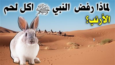 لماذا أمتنع النبي ﷺ ورفض اكل لحم الارنب