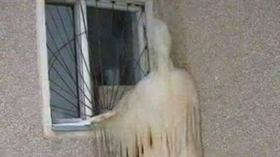 الصوره دي منتشره بشكل غريب ع السوشيال ميديا .