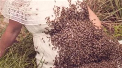 امرأة حـامل وضعت النحل على بطــنها وبعد أيام حدث شيء!