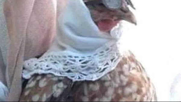 موقع أيام نيوز