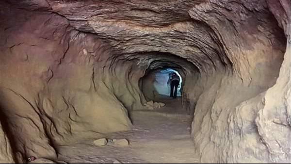 موقع أيام نيوز