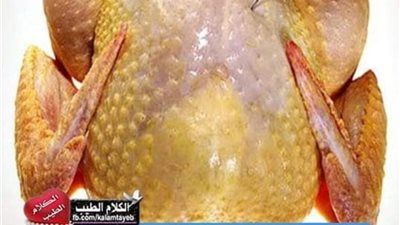 أماكن بالدجاج ممنوع أكلها نهائيا تسبب العديد من الأمراض منها سړطان الرحم